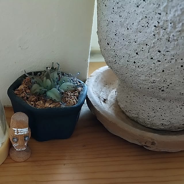 t.yumiさんの部屋