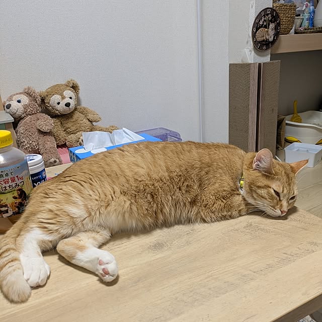 minnieさんの部屋