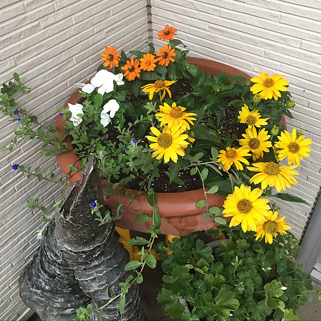 ancoさんの実例写真