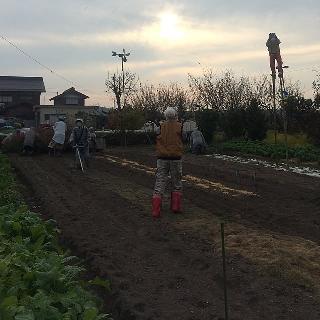 miyannさんの実例写真
