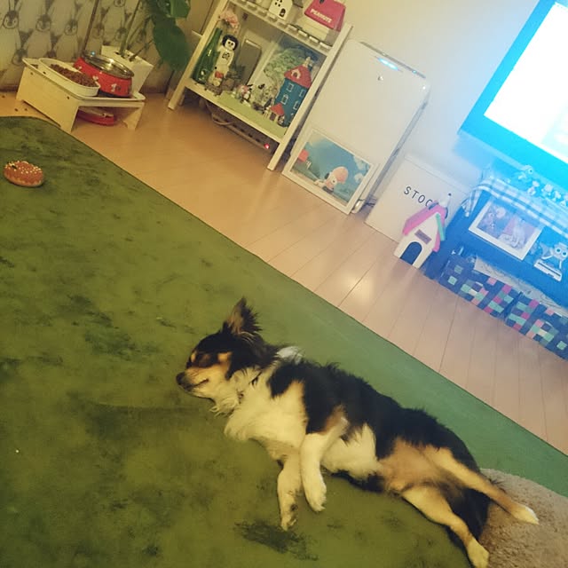 rinmarorinさんの実例写真