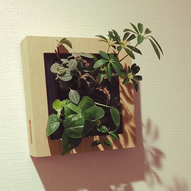 nozomiyaさんの実例写真
