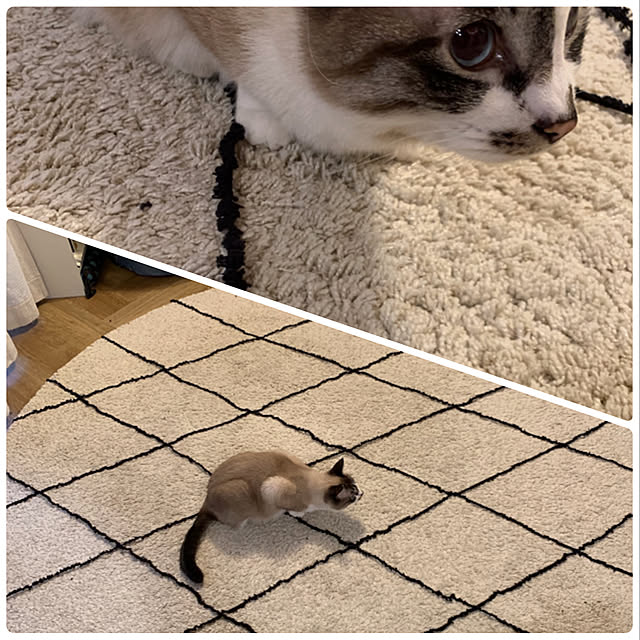 bowbowcoさんの実例写真