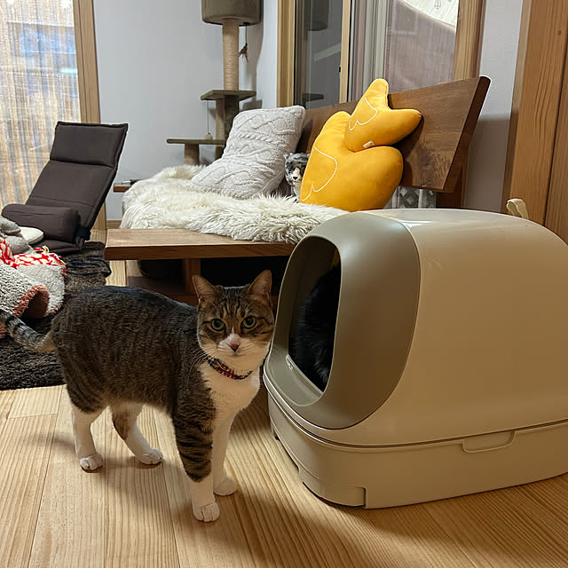haruさんの部屋