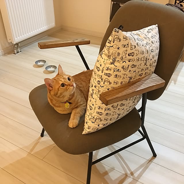 Leoさんの実例写真