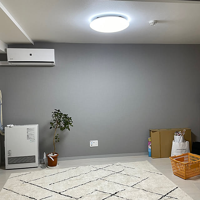 ニトリ ほこりが取れやすい洗えるラグ(タフトラグ 200X240 BE ニトリ ほこりが取れやすい洗えるラグ(タフトラグ 200X240 BE
