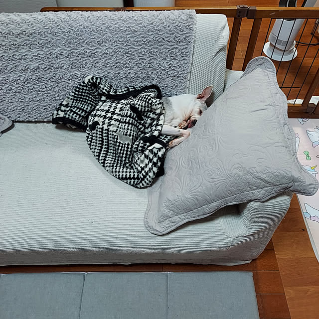 nobuさんの実例写真