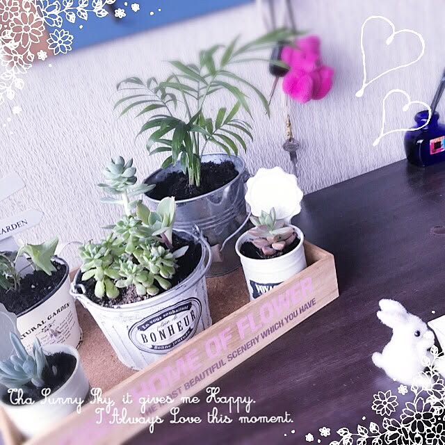 Satomiさんの実例写真