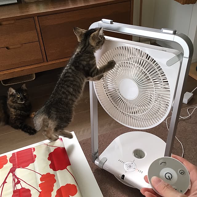 mikomaruさんの実例写真