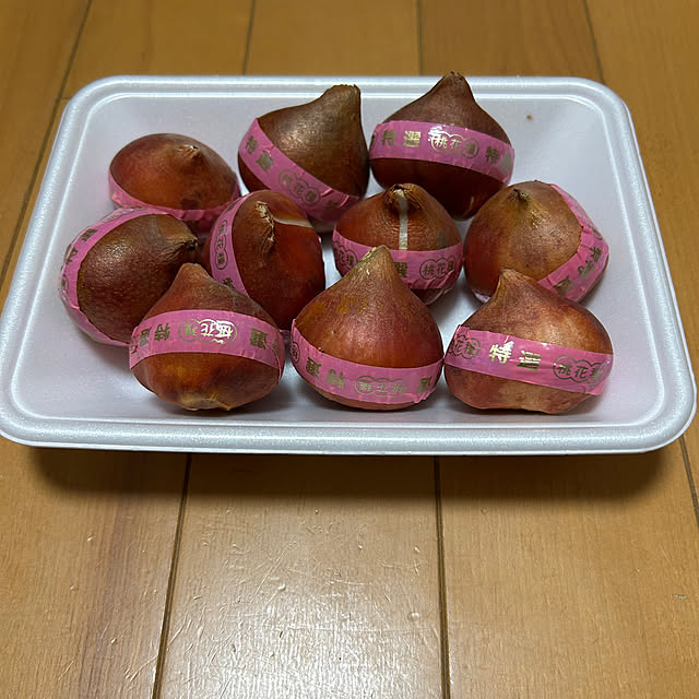fumikoiさんの実例写真