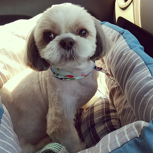 ronさんの実例写真
