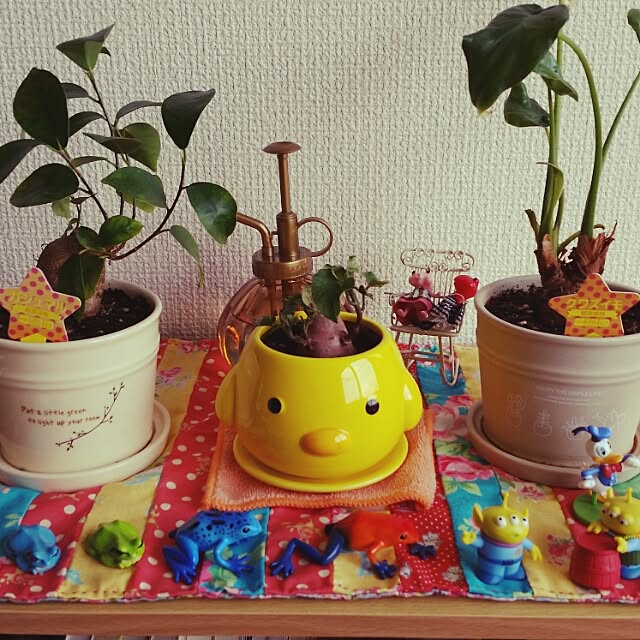 棚/ハンドメイド/ダイソー/観葉植物のインテリア実例 - 2015-02-12 19:24:43