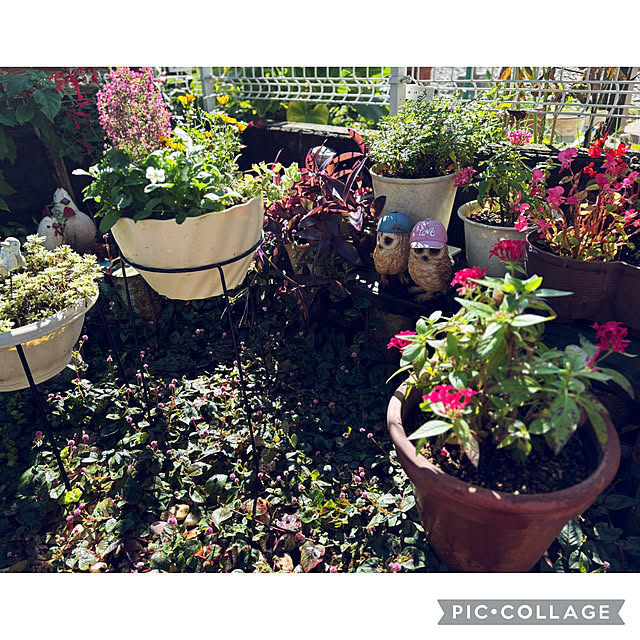 CoCo0617さんの部屋