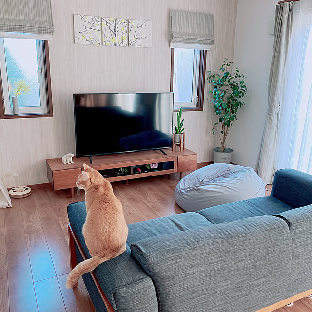 reo..m.aさんの実例写真