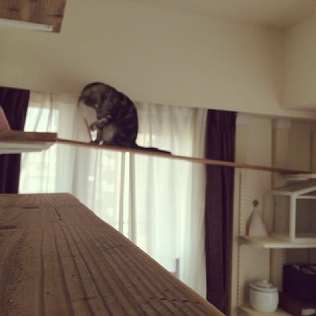 mikomaruさんの実例写真