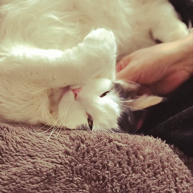 masakoさんの実例写真