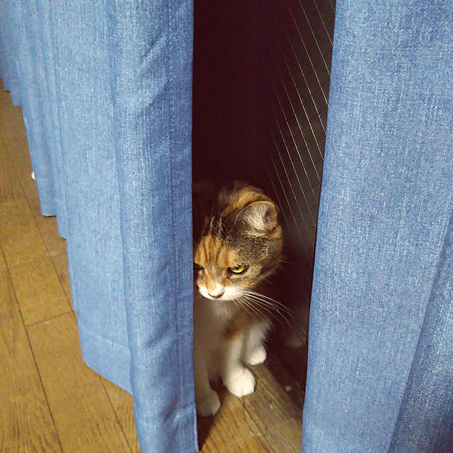 yukieさんの実例写真