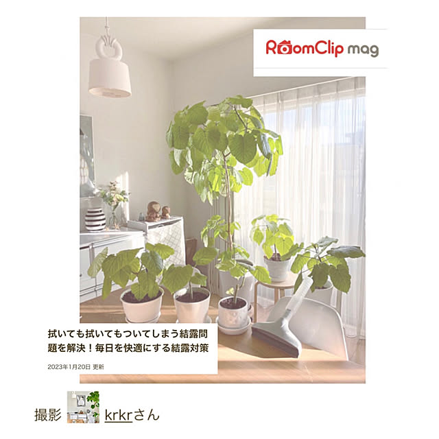 krkrさんの実例写真