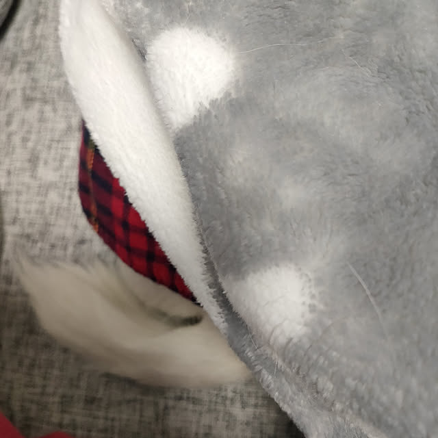 marosukeさんの実例写真