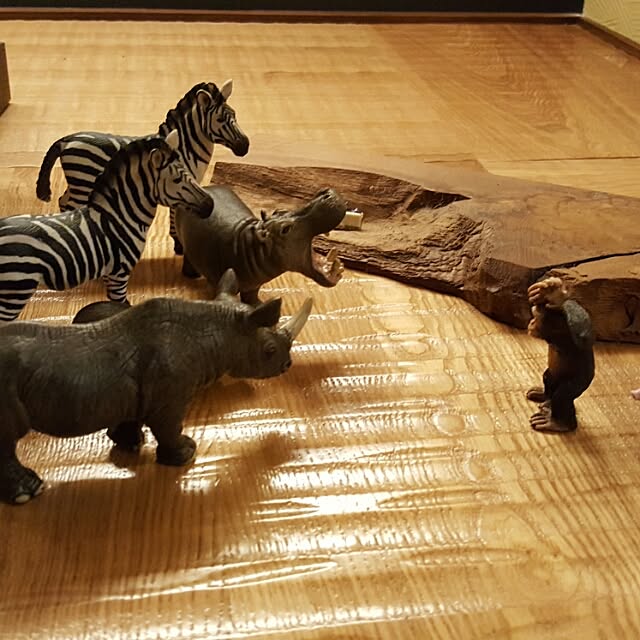 実例写真