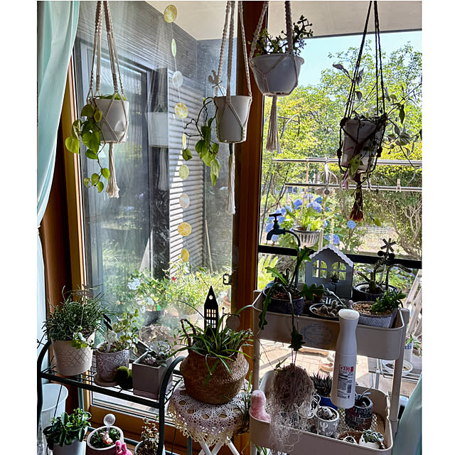 CoCo0617さんの部屋