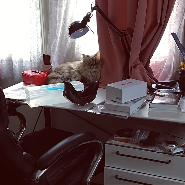 rukaさんの実例写真