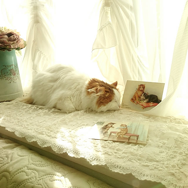 chururiさんの実例写真