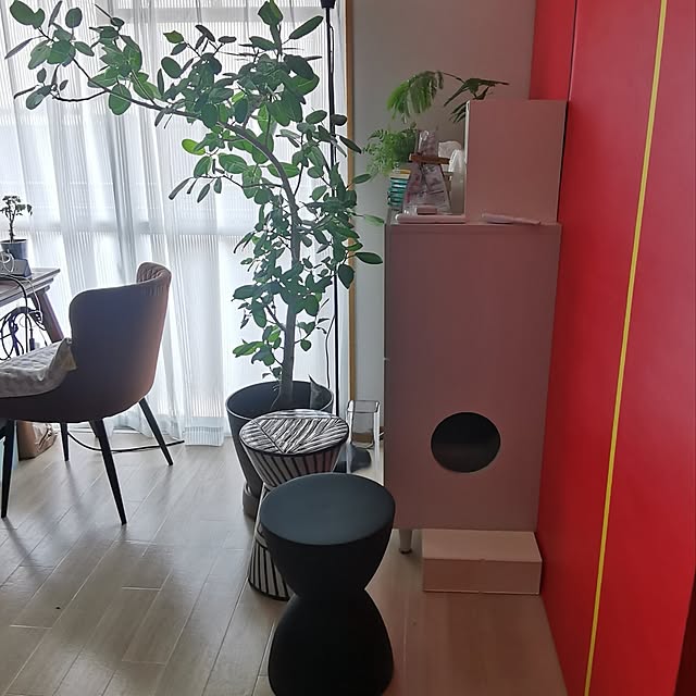 atarasiioutiさんの実例写真