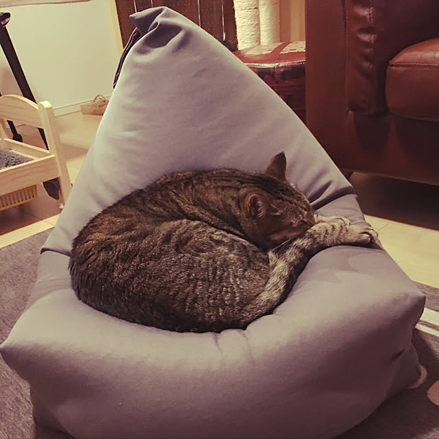 Miechamさんの実例写真