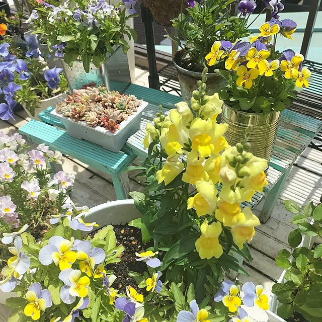 aoiroさんの部屋