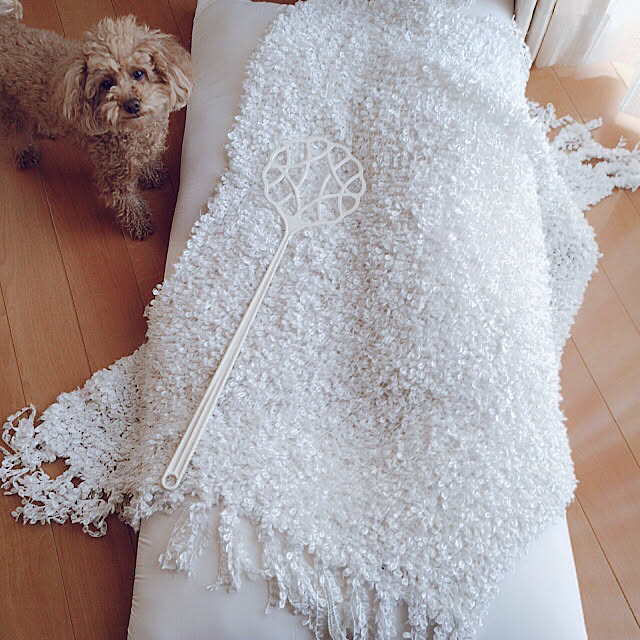 Momoさんの実例写真