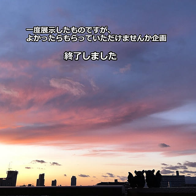simple_blowbackさんの実例写真