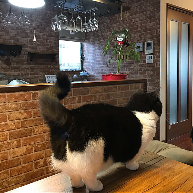 butachanさんの実例写真