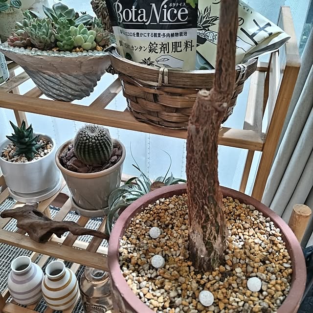 yuuさんの部屋