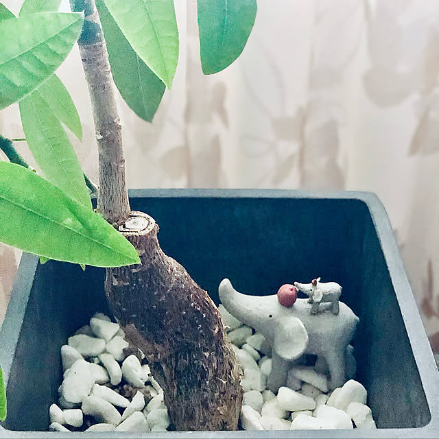 teracoyaWORLDさんの実例写真