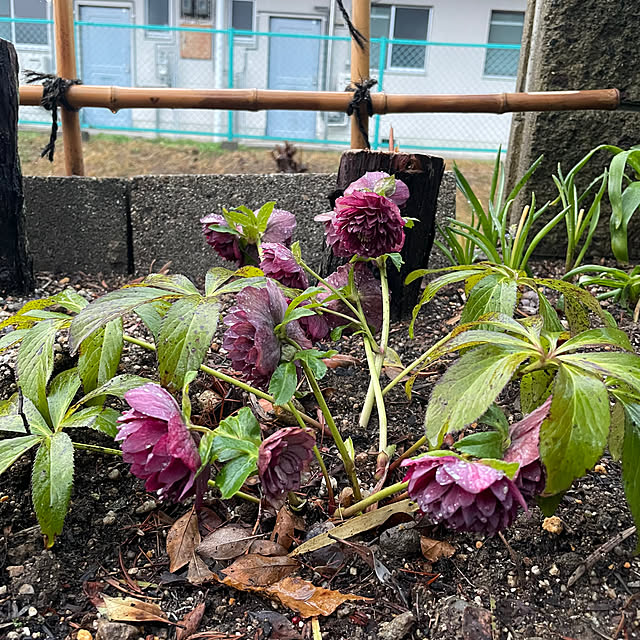 shin0719さんの部屋