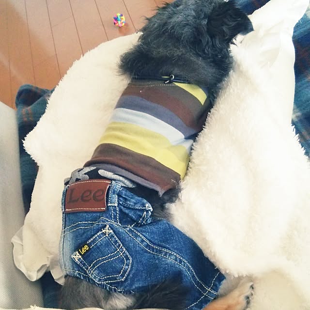 satominさんの実例写真