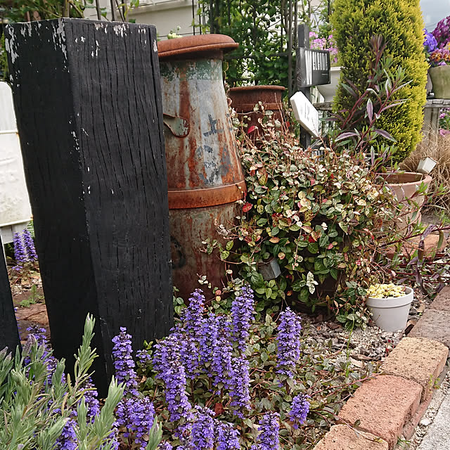 tomotomoさんの実例写真