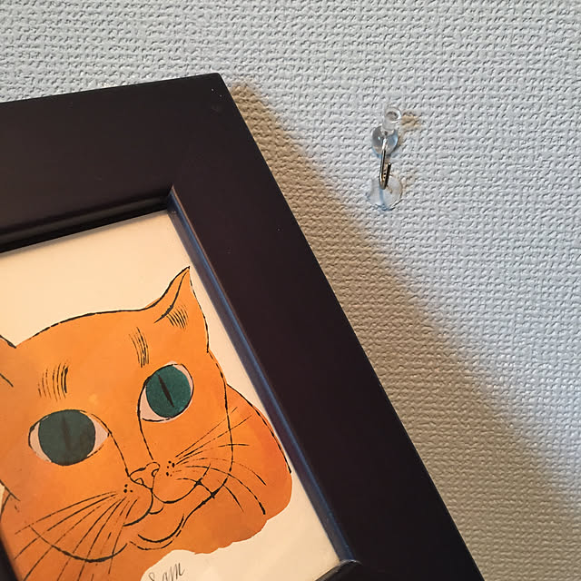kamiさんの実例写真