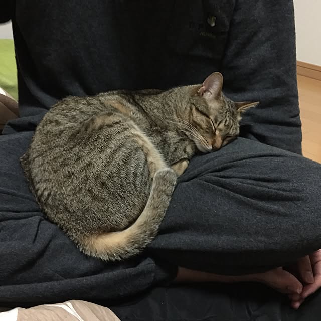 yuki0511さんの実例写真