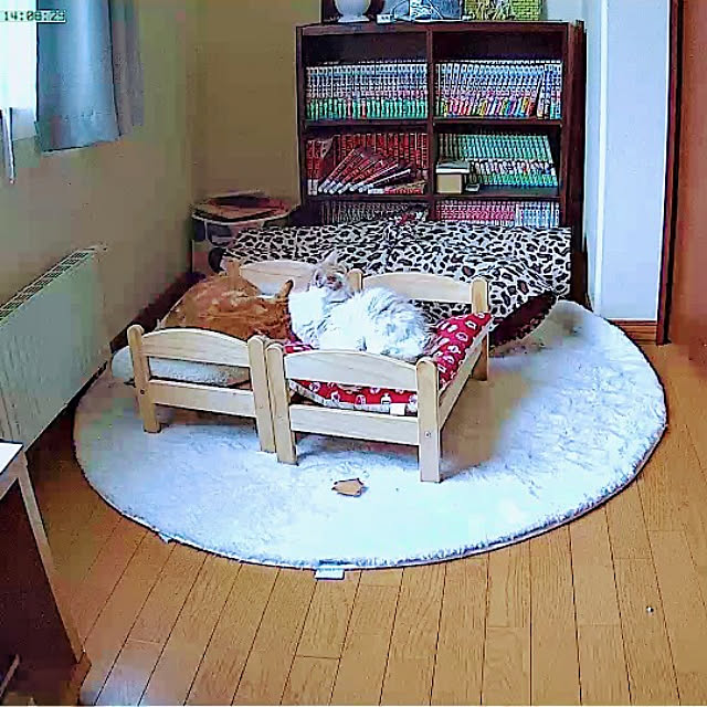 kurimiki35さんの実例写真