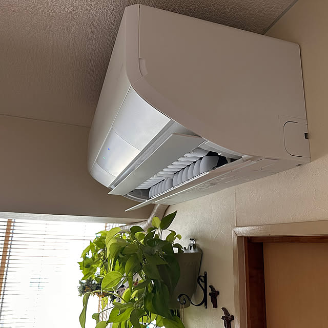 mizucchiさんの部屋