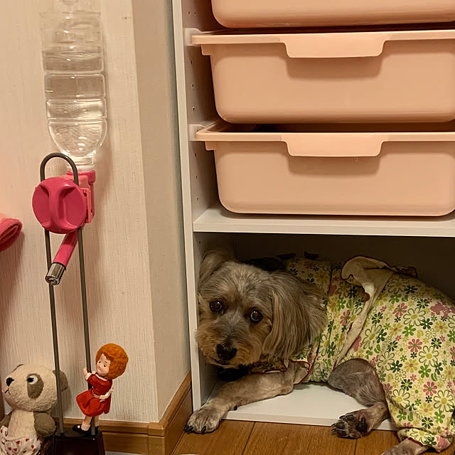 Annieさんの実例写真