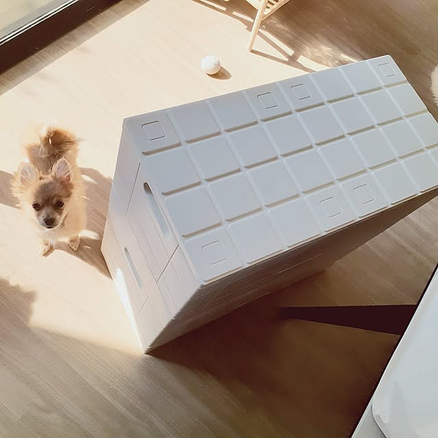 noahさんの部屋