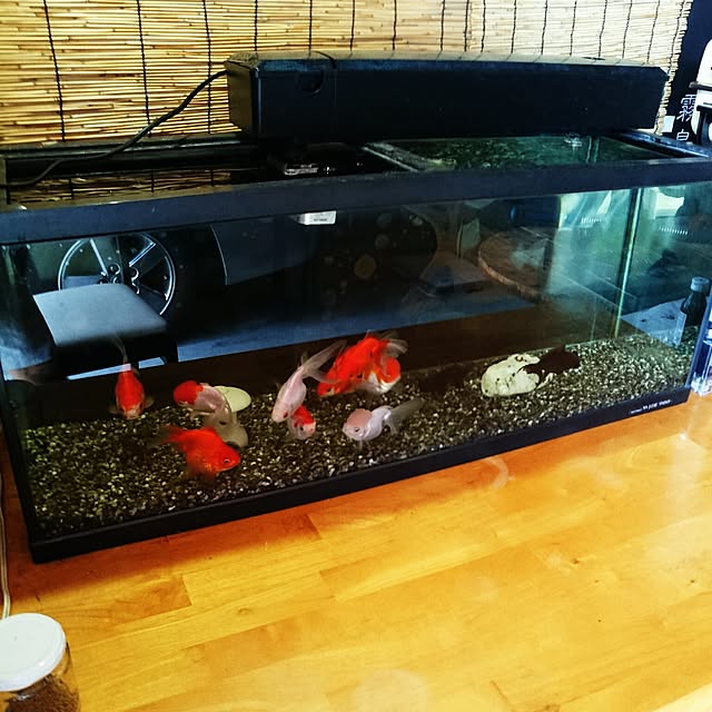 TAGOSAKUさんの実例写真
