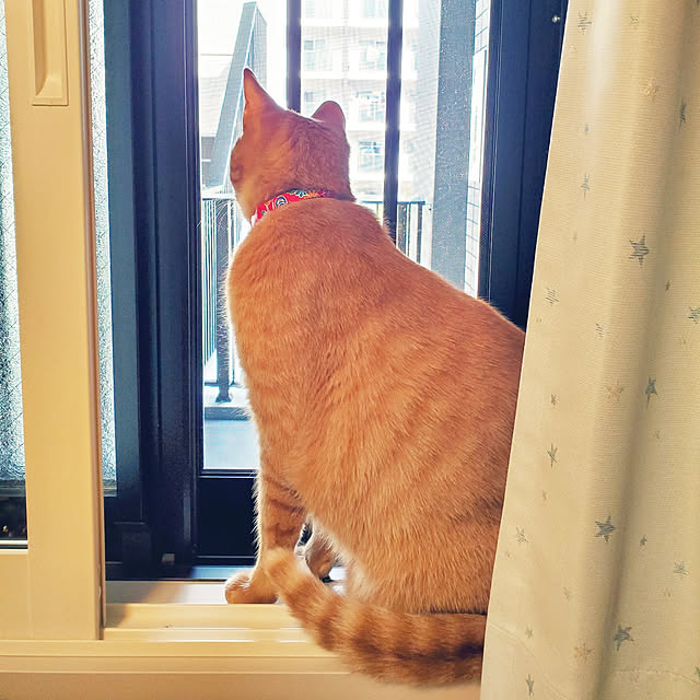 nanatomi2413さんの実例写真