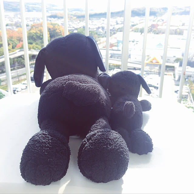 kikiさんの実例写真