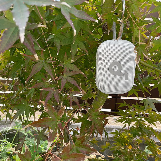 buchiさんの部屋