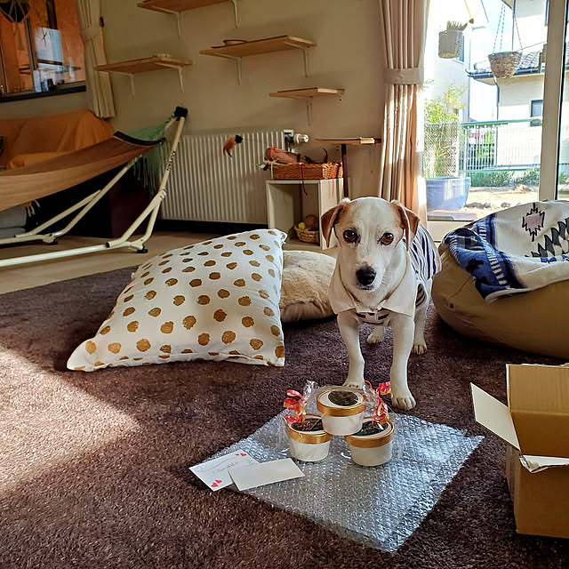 nanaさんの実例写真
