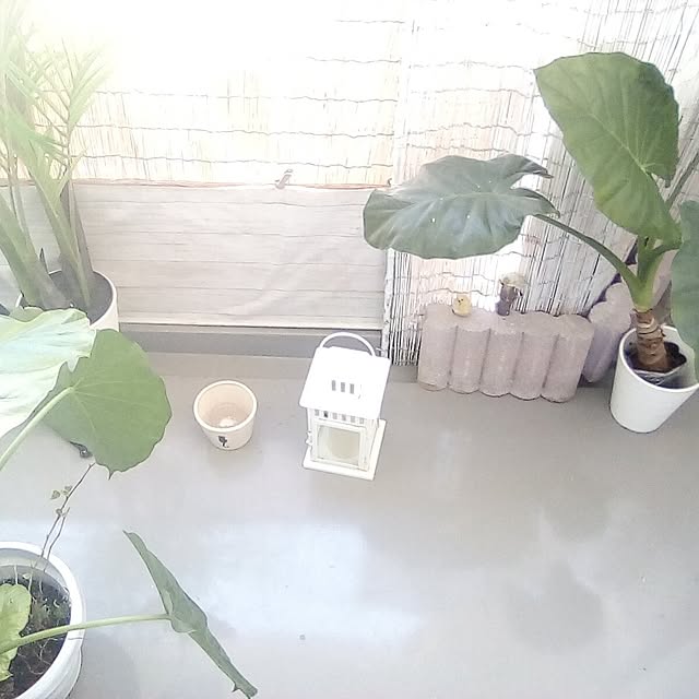 catloveさんの部屋